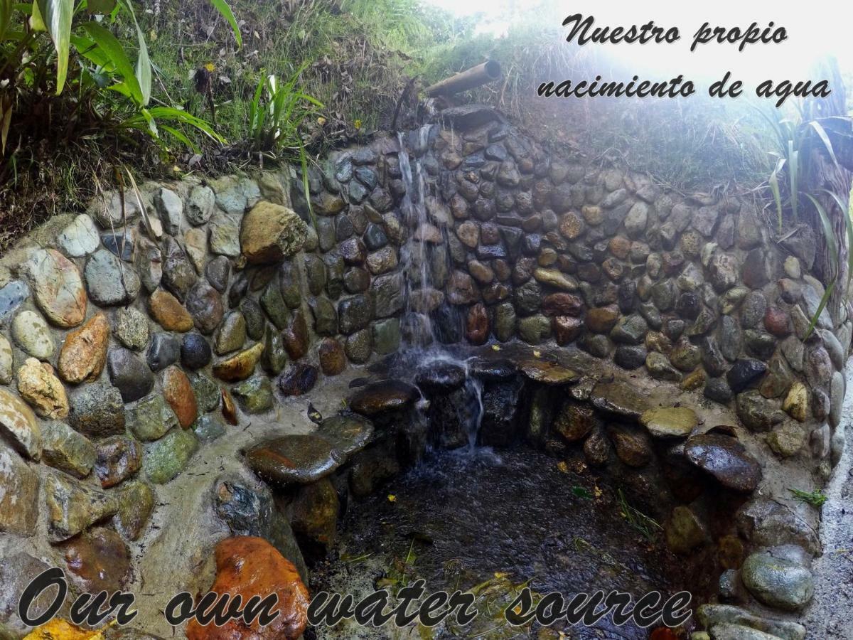 Ecorefugio Las Mirlas Salento Exterior foto